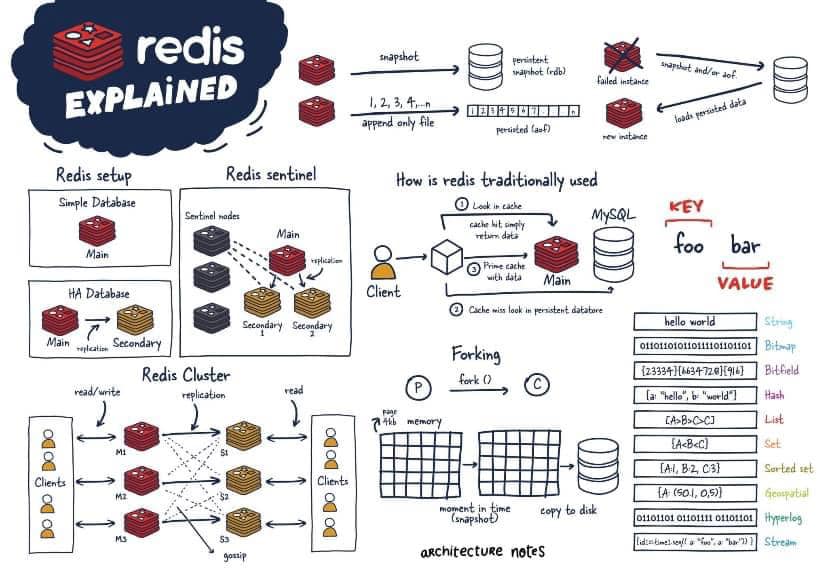 Redis Database: Công cụ nguồn mở được yêu thích trên toàn thế giới